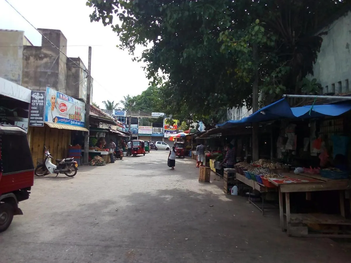 Randi Homestay 니곰보 B&B